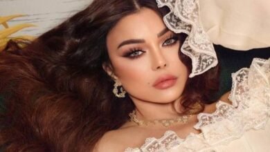هيفاء وهبي تستعد لإحياء حفل جديد في الساحل الشمالي بمصر